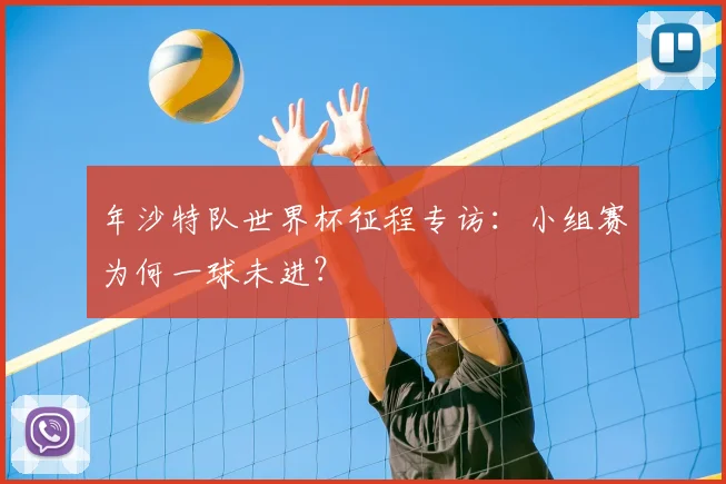 年沙特队世界杯征程专访：小组赛为何一球未进？