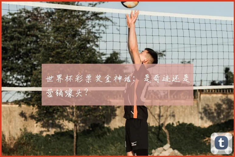 世界杯彩票奖金神话：是奇迹还是营销噱头？