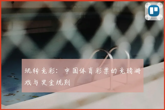 玩转竞彩:中国体育彩票的竞猜游戏与奖金规则
