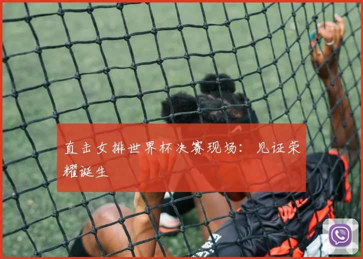 直击女排世界杯决赛现场：见证荣耀诞生